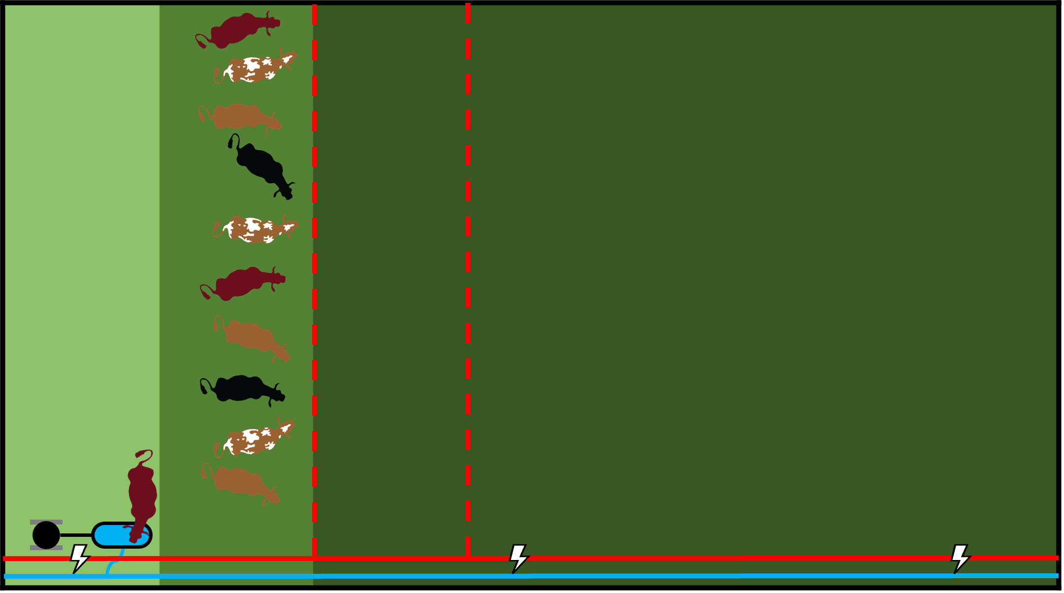 Figure 1: Livestock are prevented from grazing all recovered forage