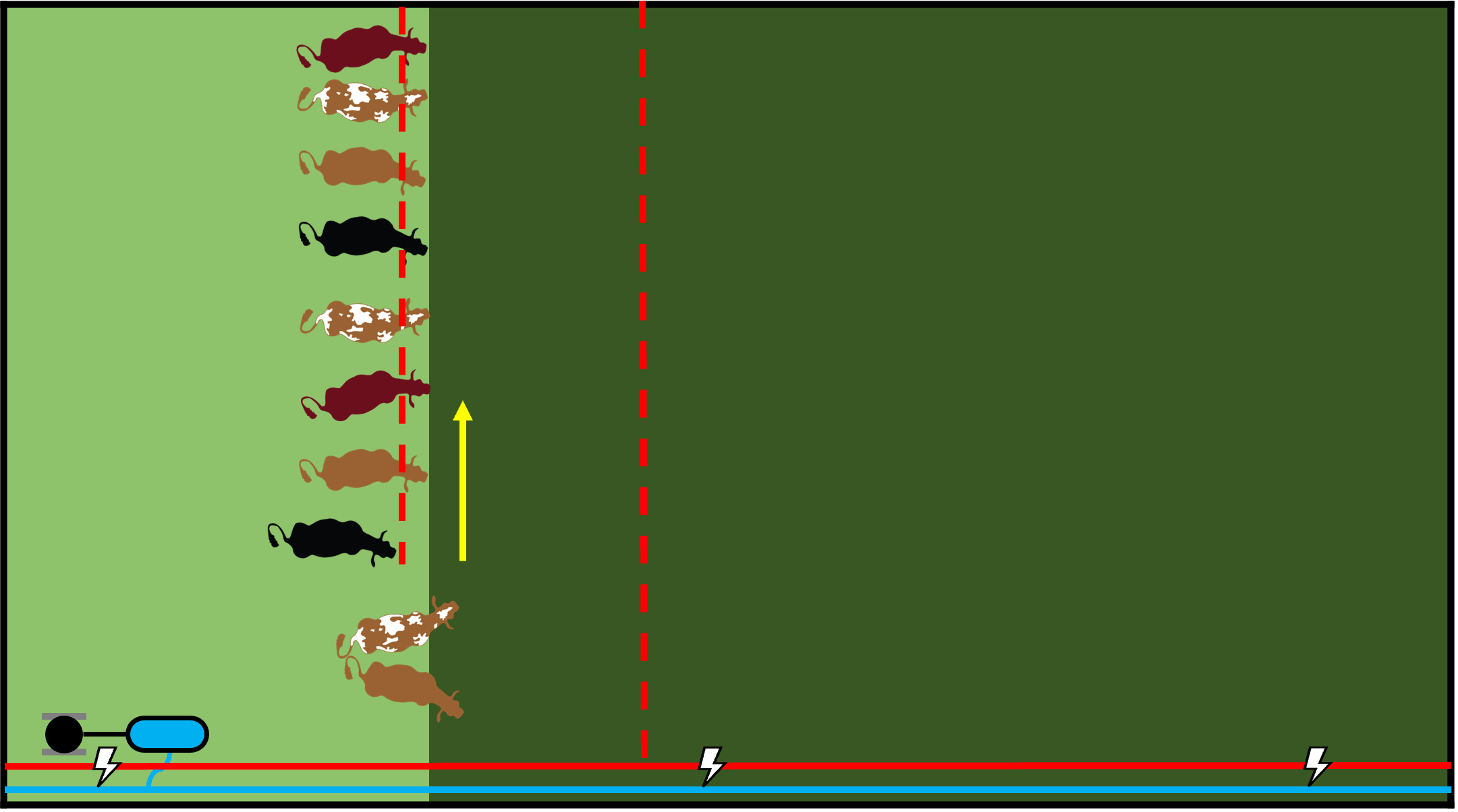 Livestock are admitted to the next paddock by rolling up the polywire and collecting step-in posts