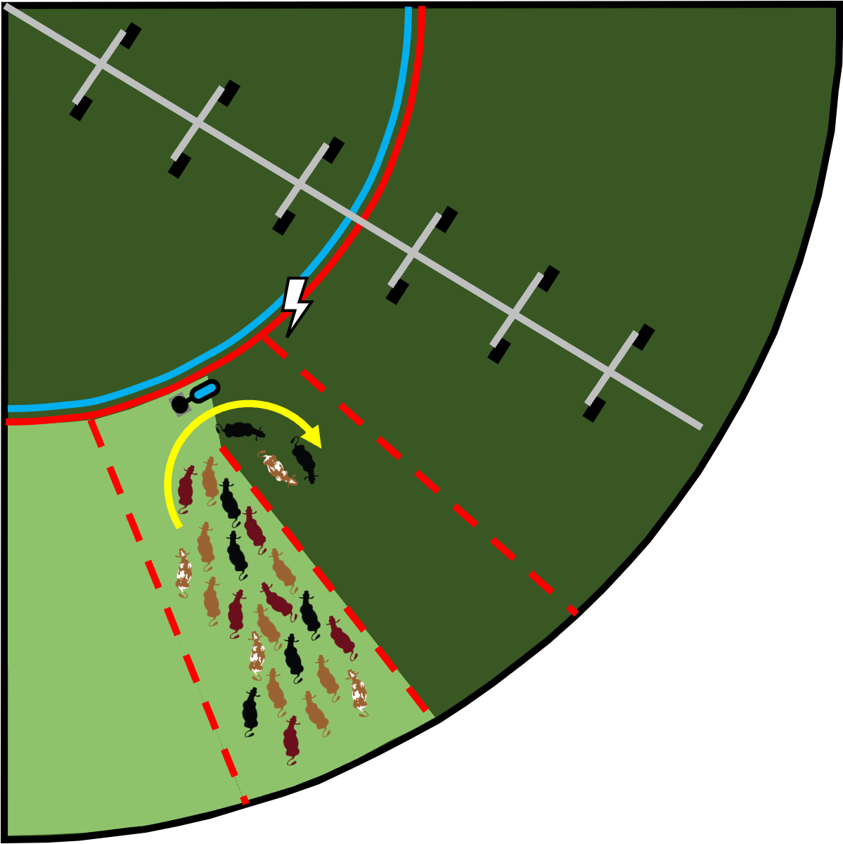 Polywire fence