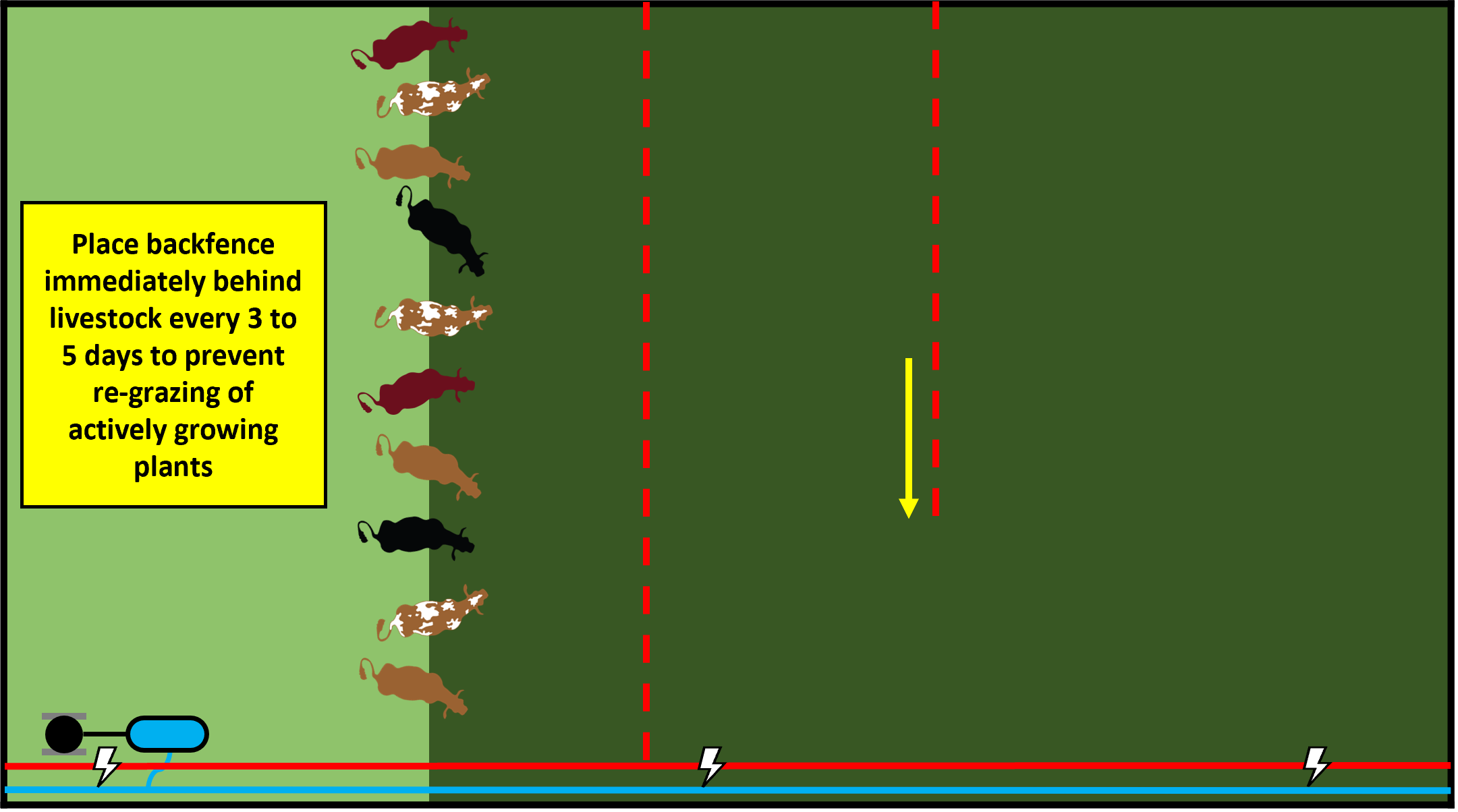 Paddock Design, Fencing, Water Systems, and Livestock Movement Strategies  for Multi-Paddock Grazing – ATTRA – Sustainable Agriculture