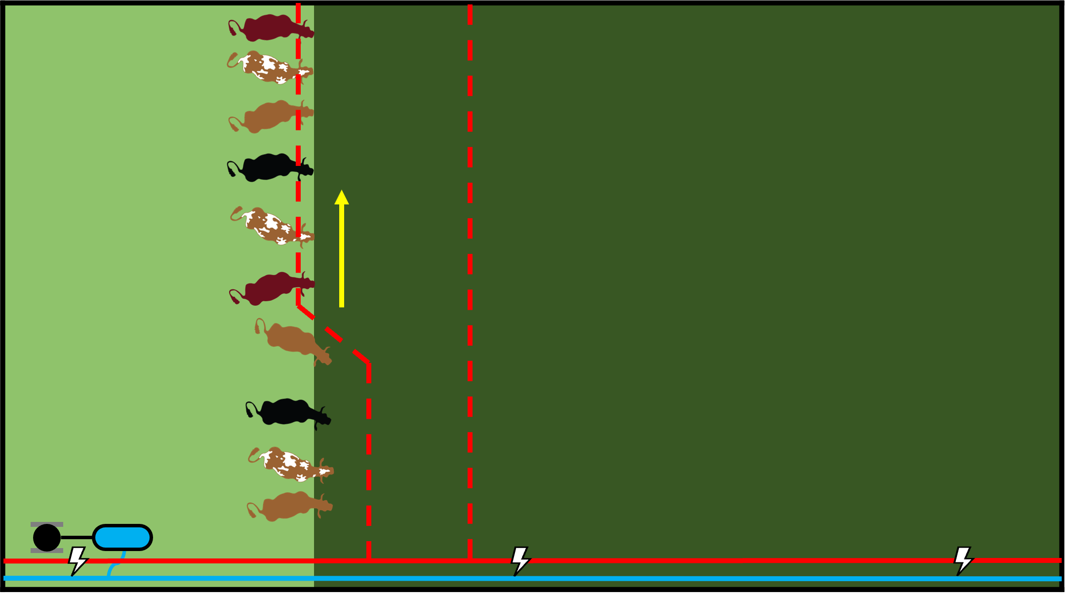 Friday Feature: Tumblewheel Rolling Electric Fence