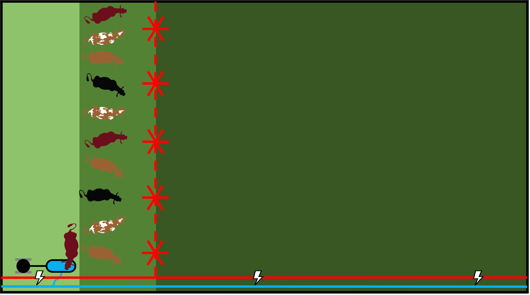 Grazing for Higher Intake – Tumble Wheel Method