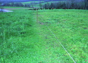 Paddocks sized to facilitate uniform grazing