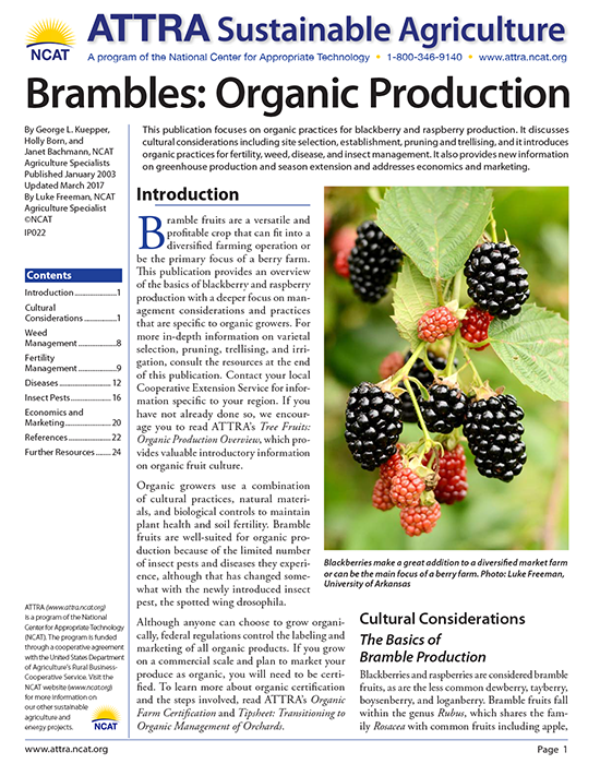 brambles – ATTRA – Sustainable Agriculture