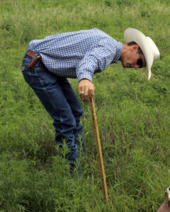 A grazing stick is useful for assessing forage height and density