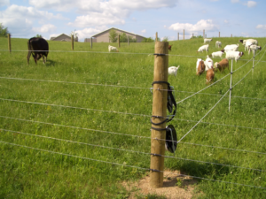 High-tensile wire perimeter fence. Photo: On Pasture