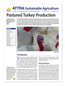 Pastured Turkey Production – ATTRA – Sustainable Agriculture