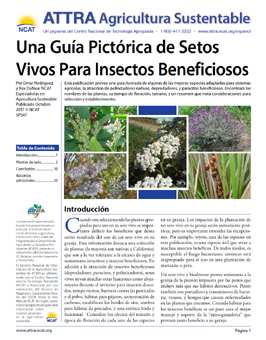 Una guía pictórica de plantas de setos para insectos beneficiosos
