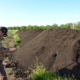 Farmer Chris Hay, Say Hay Farms, inspecting compost prior to application by spreader.