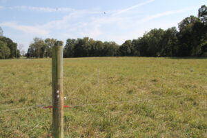 pasture fencing