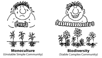 Figure 1. Monoculture vs. Biodiversity