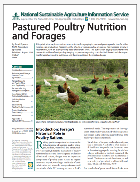 Pastured Poultry Nutrition And Forages – ATTRA – Sustainable Agriculture