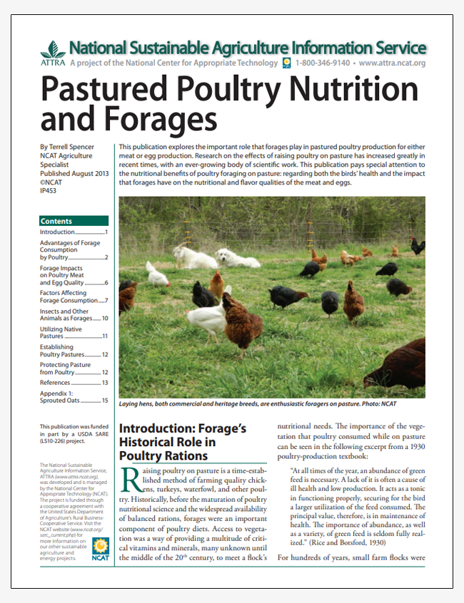 Pastured Poultry Nutrition and Forages – ATTRA – Sustainable Agriculture