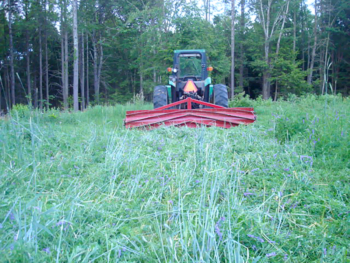 Un rodillo-rascador montado en un tractor. Los rodillos trituradores matan simultáneamente el cultivo de cobertura y crean una gruesa capa de mantillo en la que se pueden plantar semillas o trasplantes.