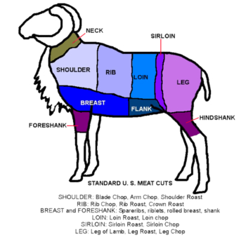 Graphic showing standard U.S. meat cuts