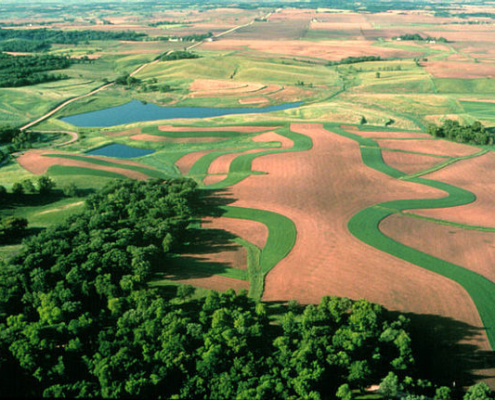 View of contour buffer strips on farm land in the United States, a conservation practice to reduce erosion and water pollution.
