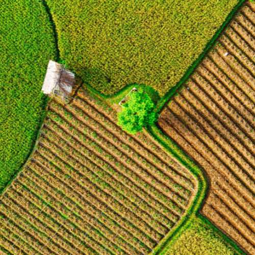 An aerial view of farmland