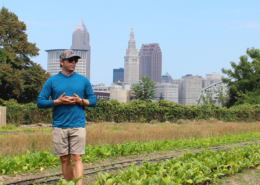 person standing between row crops with urban skyline in background