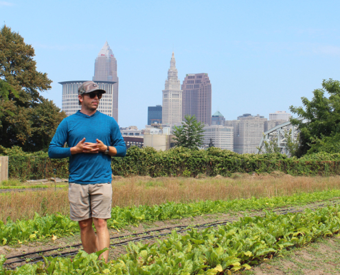 person standing between row crops with urban skyline in background