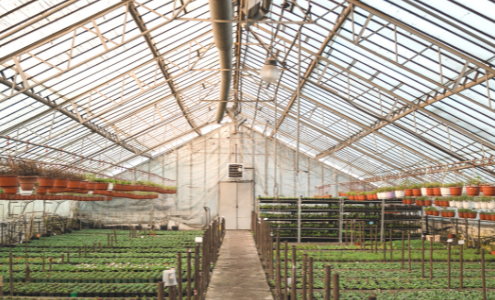 A view of the inside of a greenhouse