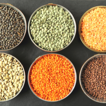 A variety of lentils