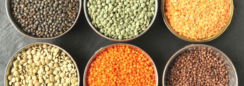 A variety of lentils in bowls
