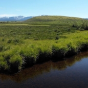 A stream runs through a Montana field