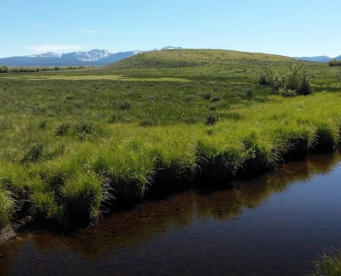 A stream runs through a Montana field