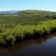 A stream runs through a Montana field
