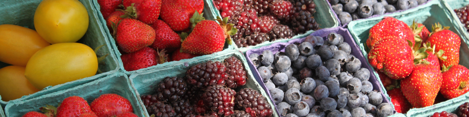 Fruits and berries on a farm stand