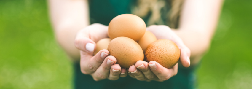 A woman holds fresh, brown eggs