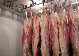 Beef hanging in a meat plant’s cooler.