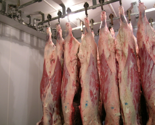 Beef hanging in a meat plant’s cooler.