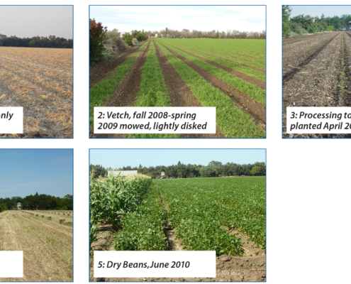 five photos comparing various stages of crop rotation.