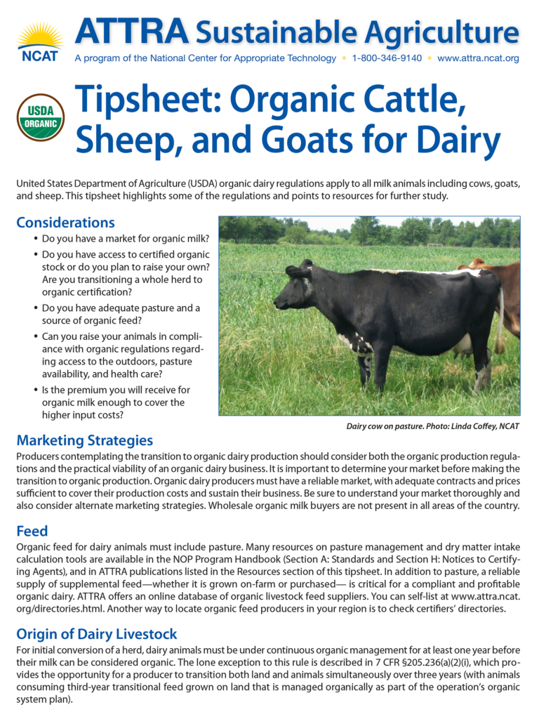 Tipsheet: Organic Cattle, Sheep, And Goats For Dairy – ATTRA ...