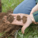 Examining soil health in hand