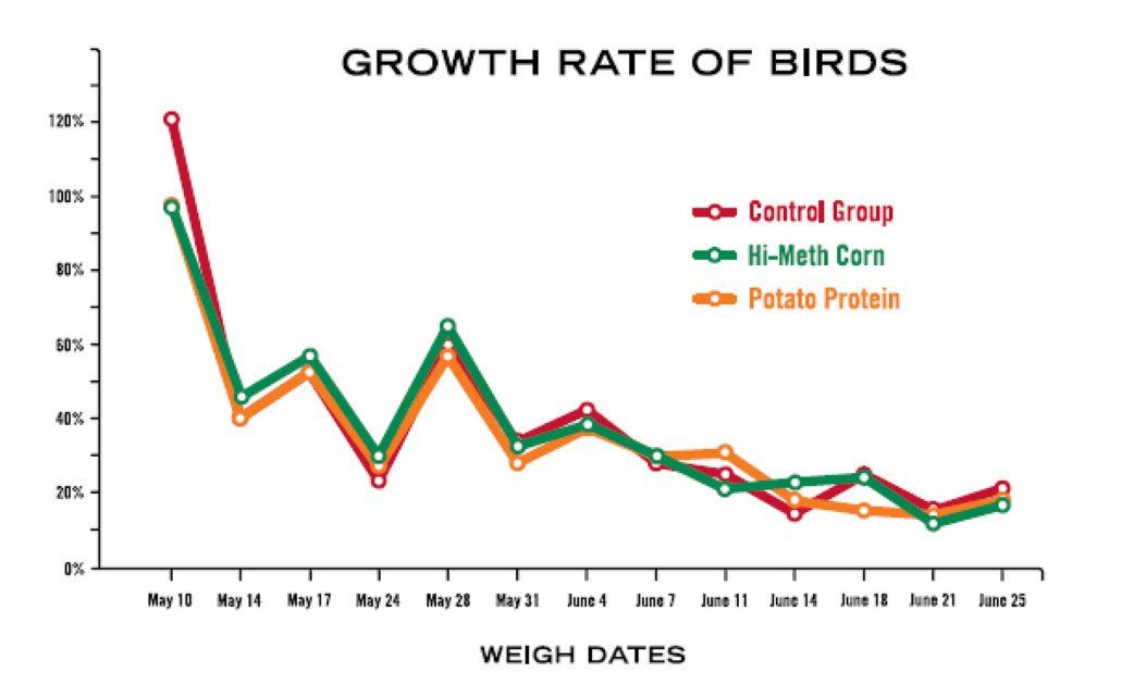 growth rate of birds chart