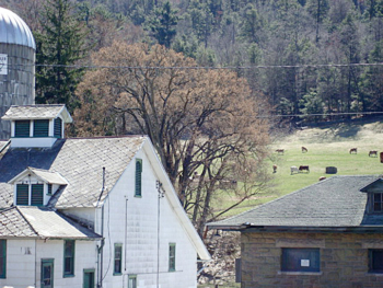a view of Hillside Farms,