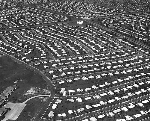 Levittown subdivision in the nineteen fifties