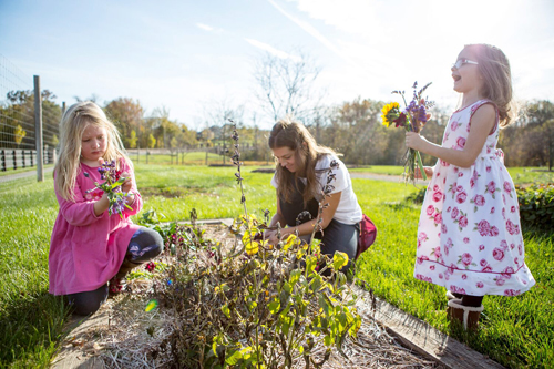 Mother and daughters gardening