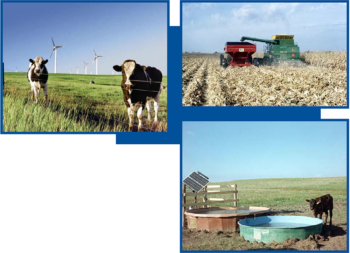 windmills in a dairy pasture, a tractor processing grain, and a calf near a solar-powerd watering tank