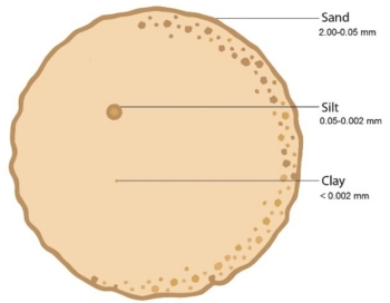 Relative size comparison between sand, silt, and clay of the fine earth fraction.