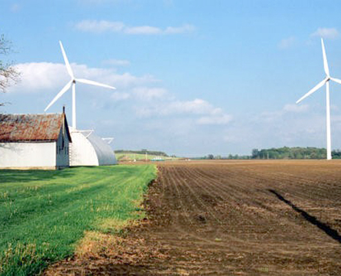 wind turbines on a farm
