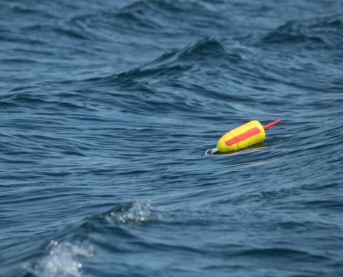 buoy on waves