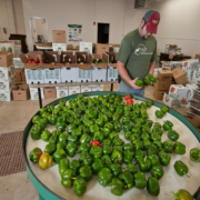 man at a table of green peppers