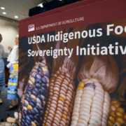 Display of corn ears on sign reading "USDA Indigenous Food Sovereignty Initiative"