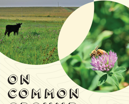 PFI Annual conference brochure cover, "On Common Ground."