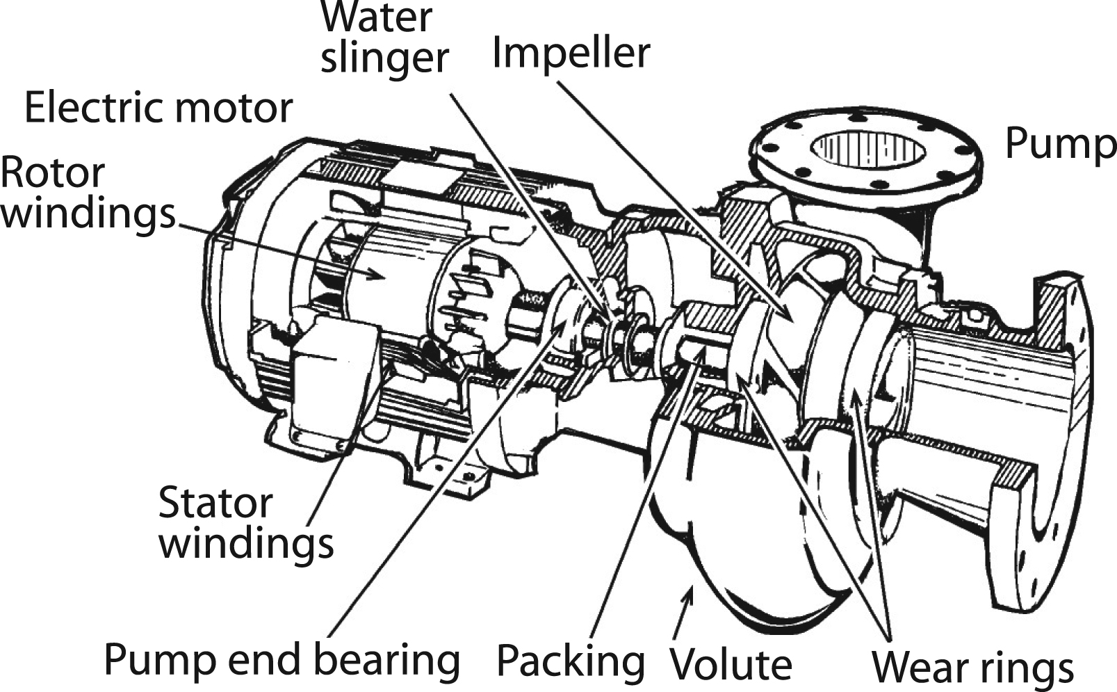 diagram of a centrifugal pump and motor