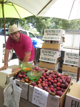 Man marketing plums at farmers market
