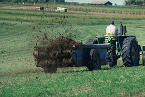 manure being spread in a field